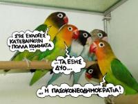 Δείτε πως 