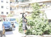 Ζήση, ο Σπανός έκανε τον 