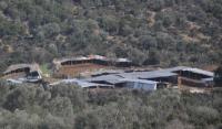 Στο μαντρί του Μήτρου με τη γελάδα τη «μαρούσιου»
