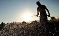 Τι είναι ο αυτοδιαχειριζόμενος Αγρός Τρικάλων ''Ανταμικό''