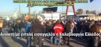 Η ΝΕ Τρικάλων ΚΚΕ καταγγέλλει την εισβολή των ΜΑΤ στη «Χαλυβουργία Ελλάδος»