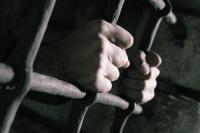 Ο Τρικαλινός βουλευτής Μιχάλης Ταμήλος στη φυλακή !