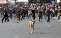 Πέθανε ο ΛΟΥΚΑΝΙΚΟΣ. Ο Σκύλος - θρύλος της Αθήνας