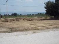 Κόπηκαν και τα αγριόχορτα...