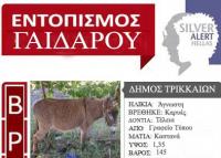 SOS: Βρέθηκε γάϊδαρος στα Τρίκαλα