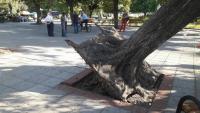 Mιά φορά πήραν σωστή απόφαση, και νομίζουν ότι είναι... λάθος !!!