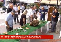 Πλήθος κόσμου στην 4η Γιορτή Μανιταριού