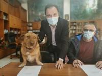 Σκλι του Μπουζαλή: Λέμε 