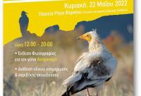 Υπαίθρια Έκθεση Φωτογραφίας στα Τρίκαλα για τον γύπα Ασπροπάρη