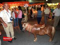 Mια... βόλτα στο παζάρι της Καλαμπάκας το 2005