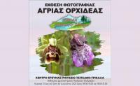 Φωτογραφική έκθεση για το περιβάλλον με επίκεντρο την ορχιδέα, στο Μουσείο Τσιτσάνη