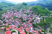  Πως κατάφεραν και εκμεταλλεύτηκαν τα δέντρα τους