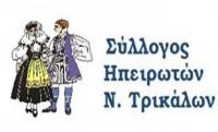 H Αθηνά Οικονόμου πρόεδρος στον σύλλογο Ηπειρωτών Τρικάλων - Το νέο Διοικητικό Συμβούλιο