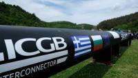 Κορδέλες Βαλκανίων, φύκια Αγκύρας