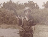 (1981-'82).