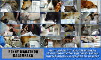 Penny Marathon Καλαμπάκα 2022-23 Κυριακή 9 Ιουλίου 2023