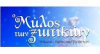  Η  e-Trikala A.E., καλεί τους επαγγελματίες να εκδηλώσουν το ενδιαφέρον τους για συμμετοχή στο θεματικό πάρκο «Ο Μύλος των Ξωτικών 2023-24».