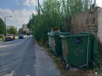 Στα Τρίκαλα, πίσω από τις καλαμιές...