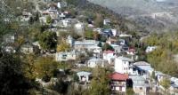 Είδηση : Έχεσε αρκούδα στο δάσος !!!