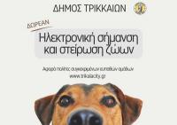 Δωρεάν τσιπάρισμα και στείρωση δεσποζόμενων ζώων για πολίτες συγκεκριμένων ομάδων από τον Δ. Τρικκαίων