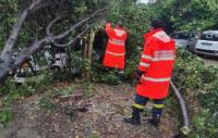 Μπουρίνι προκάλεσε ζημιές σε Τρίκαλα