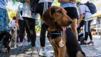 Το 4ο Penny Marathon θα πραγματοποιηθεί στην Καλαμπάκα την Κυριακή 13 Ιουλίου 2025