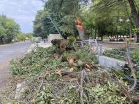  Σε αποκαταστάσεις ζημιών από το μπουρίνι στα Τρίκαλα προέβη ο Δήμος Τρικκαίων