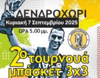 Δεύτερο τουρνουά μπάσκετ 3Χ3 στο Δενδροχώρι στη μνήμη Αλέξανδρου Γκαμπλιώνη από τον Δ. Τρικκαίων