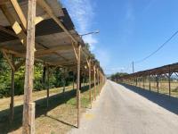 Τελική ευθεία για το Τρικαλινό Παζάρι – Συναυλίες και ψυχαγωγικά παιχνίδια από τον Δήμο Τρικκαίων