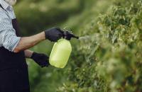 Η Bayer κατηγορείται για δεκάδες χιλιάδες καρκίνους
