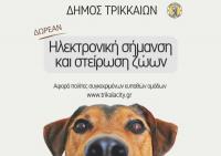 Και το 2026 δωρεάν τσιπάρισμα & στείρωση δεσποζόμενων ζώων από τον Δ. Τρικκαίων – Αιτήσεις και δικαιούχοι