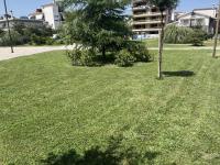 Είδηση: Καλλωπισμός και καθαρισμός πρασίνου σε 4 γειτονιές των Τρικάλων
