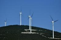 Πώς κατάφερε η κυβέρνηση να στρέψει έναν ολόκληρο λαό εναντίον μιας πολύτιμης εναλλακτικής τεχνολογίας